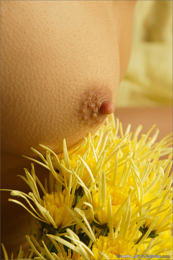 красивые сиси девушки