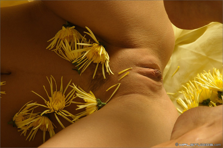 обнаженная киска