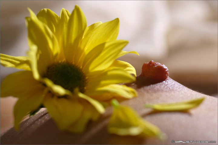 сосок близко