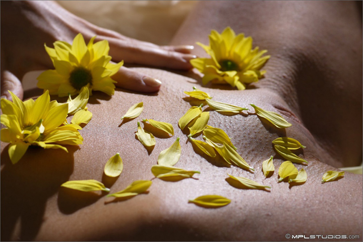 животик секси